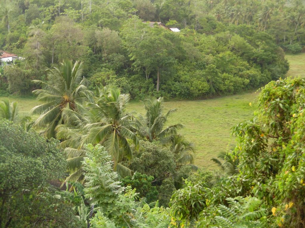 Mount View Villa Resort Mirissa Exteriör bild