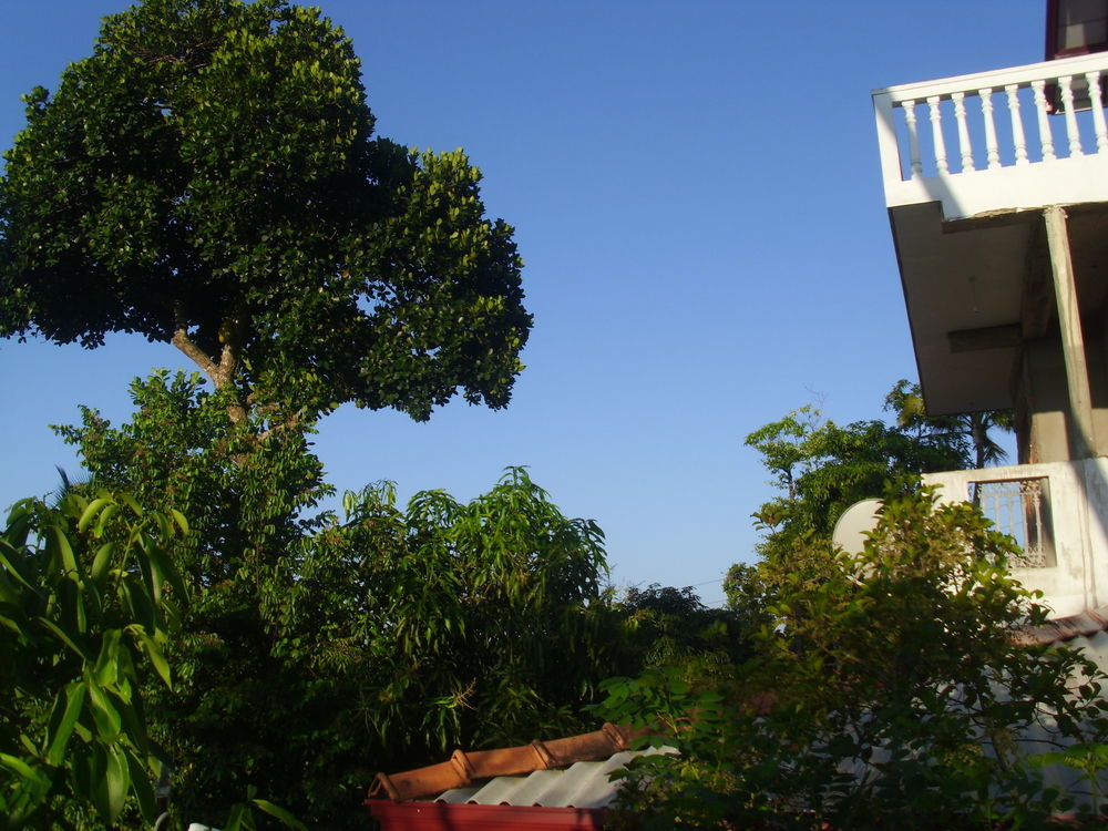 Mount View Villa Resort Mirissa Exteriör bild